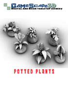 Exotic House Plants