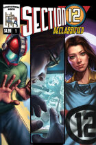Section 12 (Declassified) #1