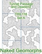 Tunnel Passage and Deadend Set A (T89-118A)