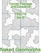 Tunnel Passage and Deadend Set B (T89-118B)