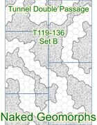 Tunnel Double Passage Set B (T119-136B)