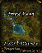 Cliffside Fort 50x36 Battlemap