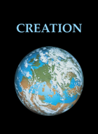 Creation Card Game