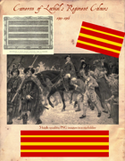 1745 Camerons Flag