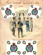 1814-1864 Hesse-Darmstadt Leib-Garde Flag