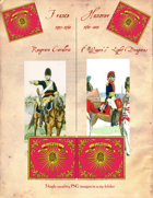 1743-1803 French Raugrave/Hanover 9th Dragoons Cavalry Standard