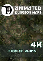 Animated Dungeon Maps: Forest Ruins 4k