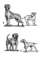 Dogs - Stock Art