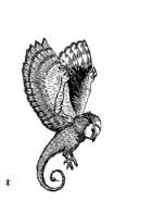 Wyvern -Stock Art