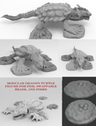 Dragon Turtle Set