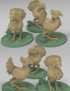 Riding Birds