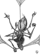 SPIDER LICANTROP - Stock art