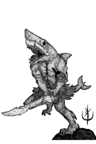 SHARKMAN - Stock art