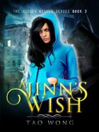 A Jinn's Wish: Book 3 in the Hidden Wishes series