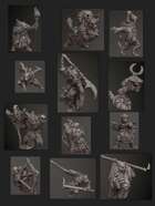 Zodiac Bundle C
