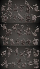 Zodiac Complete 36