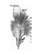 Feather Drift Bone Fall