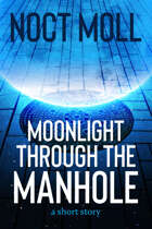 Moonlight Through the Manhole: a short story