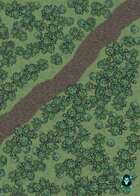 Forest Trail map (50x50)