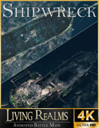 Shipwreck | 4 Animated & Static Maps | 4K