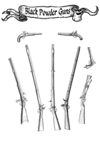 Black Powder Guns