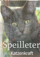 Speilleter: Katzenkraft