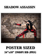 DunJon Poster JPG #98 (Shadow Ninja)