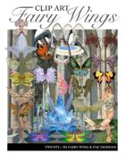 "Create your own Image" Fairy Wings Clipart