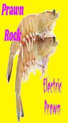 Electric Prawn Larry 1 mp3 Audio Track