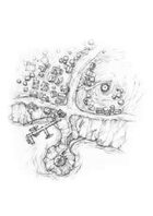 Village Map: Lighthouse Village