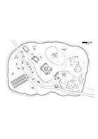 Village Map: Ruins Village
