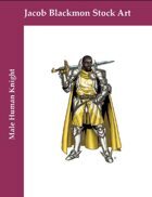Stock Art: Male Human Knight