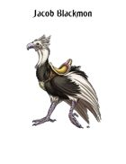 Stock Art: Jousting Ostrich