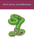 Stock Art: Amphisbaena