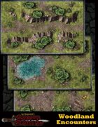 Jack Badashski's Awesome Adventures: Woodland Encounters