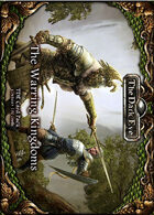 The Dark Eye - Warring Kingdoms Card Pack