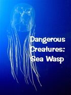 Dangerous Creatures: Sea Wasp