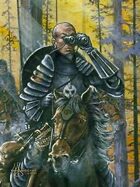 Infinite Images - Stock Illustration - Kommanza Scout - Quarter Page, RGB 150ppi