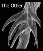 The Other
