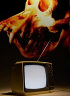 Voodoo Telly (Strange, Modern Music)