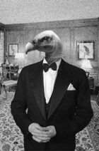 Table Top Vulture: Episode 8 - Cartography