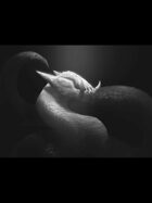 Zelart 043: Tusk Serpent (Scholarship Winner 2014)