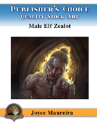 Publisher's Choice - Joyce Maureira - Elven Male Zealot Cover Art