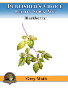 Publisher's Choice - Gray Moth - Blackberries