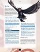 Hundred Devils Night Parade: Strix and Zicnal