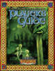 C20 Player's Guide
