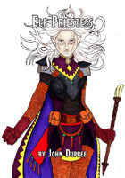 Elf Priestess