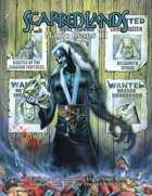 Scarred Lands Magic Item Cards 3 (The Wise & The Wicked)