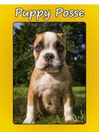 Puppy Posse, an RPG for Ages 4 and Up