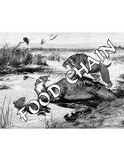 Food Chain